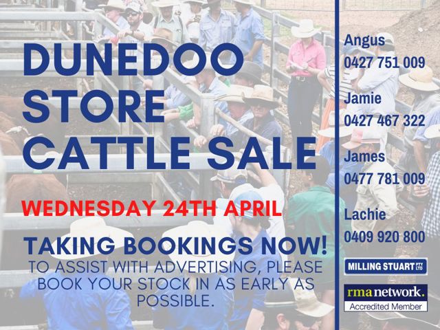 Dunedoo Monthly Store Cattle Sale